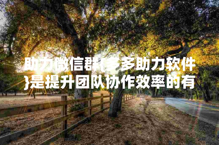 助力微信群{多多助力软件}是提升团队协作效率的有力工具。
