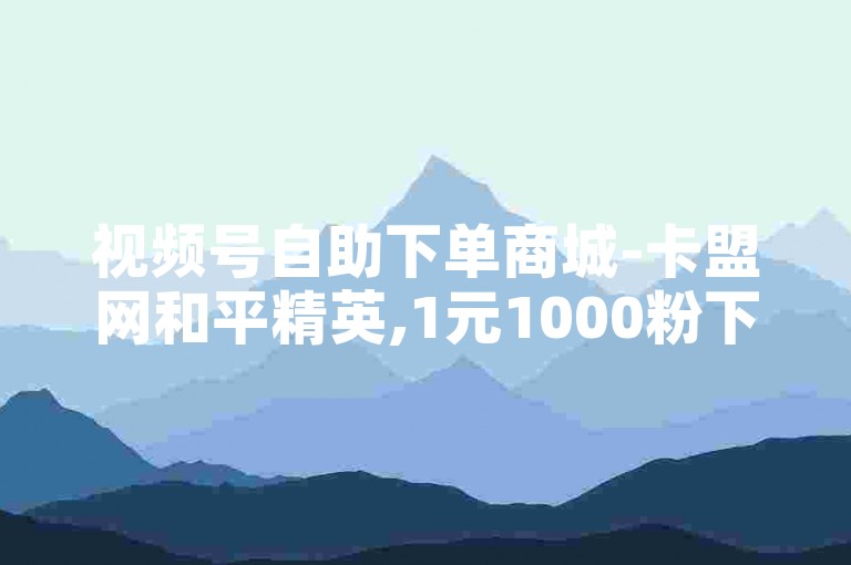 视频号自助下单商城-卡盟网和平精英,1元1000粉下单平台。