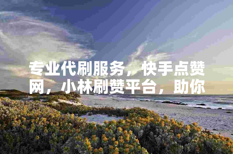 专业代刷服务，快手点赞网，小林刷赞平台，助你轻松提升人气。