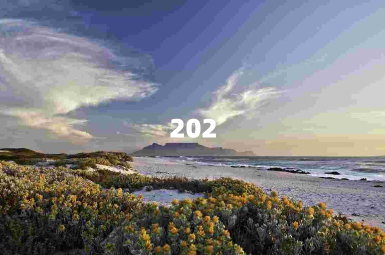 2025年，拼多多互助群将为你免费提供入群帮助。