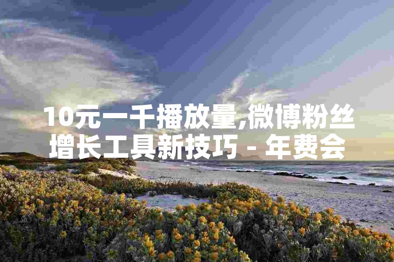 10元一千播放量,微博粉丝增长工具新技巧 - 年费会员 - 快手100点赞多少钱