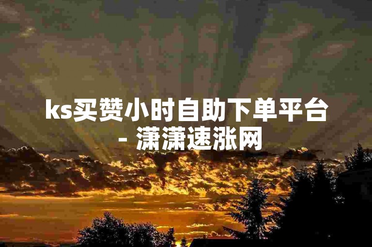 ks买赞小时自助下单平台 - 潇潇速涨网