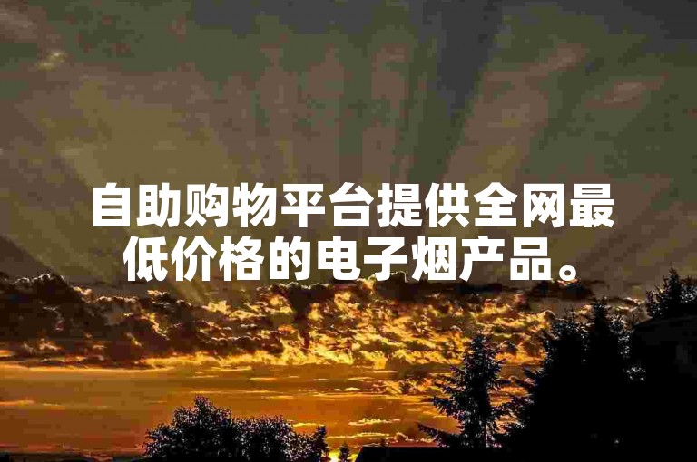 自助购物平台提供全网最低价格的电子烟产品。