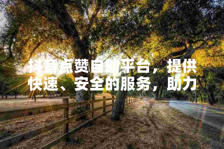 抖音点赞自助平台，提供快速、安全的服务，助力您的视频迅速走红。