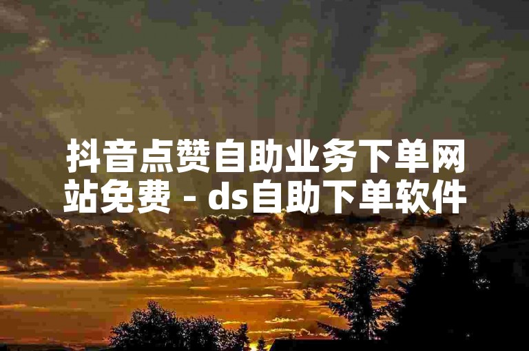 抖音点赞自助业务下单网站免费 - ds自助下单软件