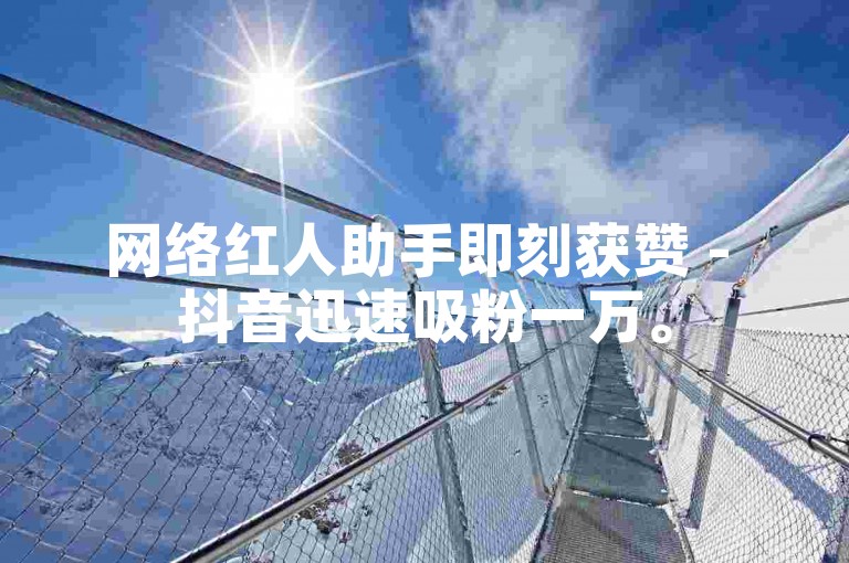网络红人助手即刻获赞 - 抖音迅速吸粉一万。