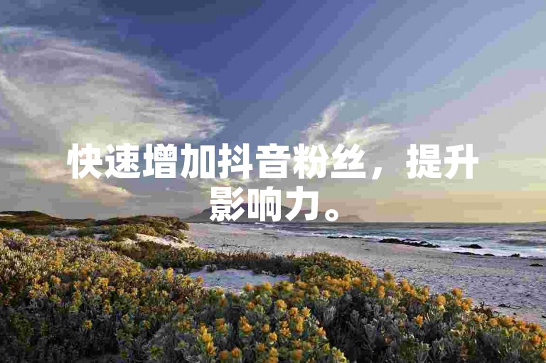 快速增加抖音粉丝，提升影响力。