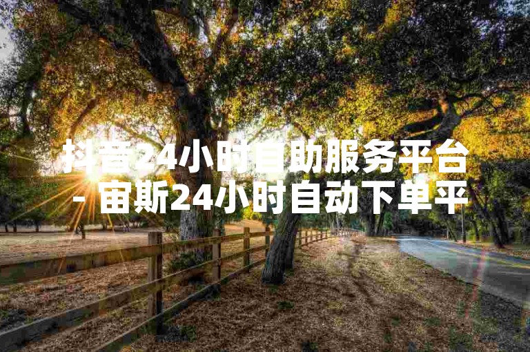 抖音24小时自助服务平台 - 宙斯24小时自动下单平台。