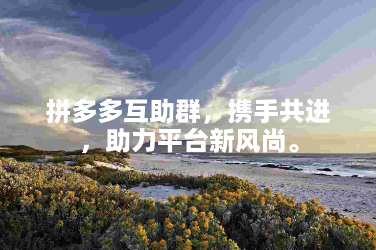 拼多多互助群，携手共进，助力平台新风尚。