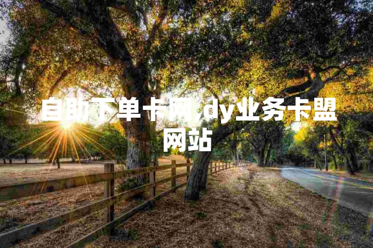自助下单卡网,dy业务卡盟网站