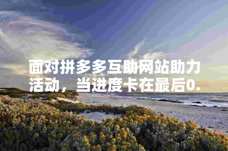 面对拼多多互助网站助力活动，当进度卡在最后0.01时，不妨尝试邀请新用户加入或参与平台推出的特定任务来突破这一难关。