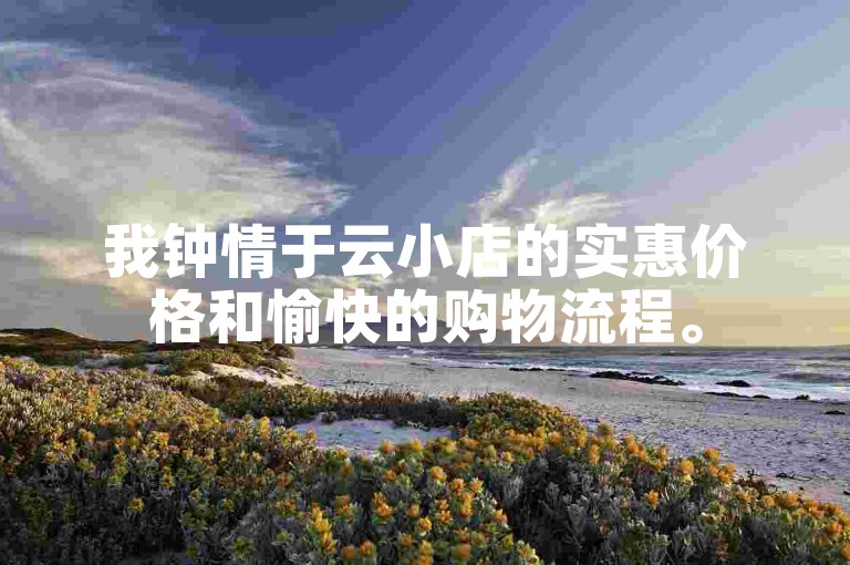 我钟情于云小店的实惠价格和愉快的购物流程。