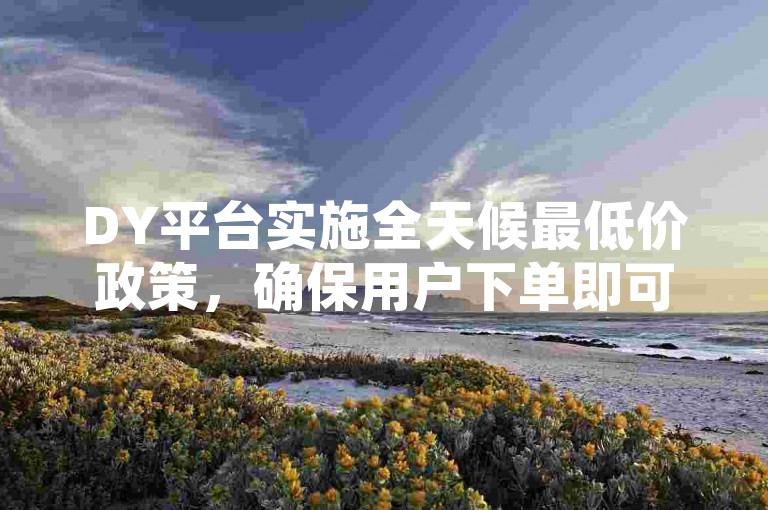 DY平台实施全天候最低价政策，确保用户下单即可获得最实惠的价格。