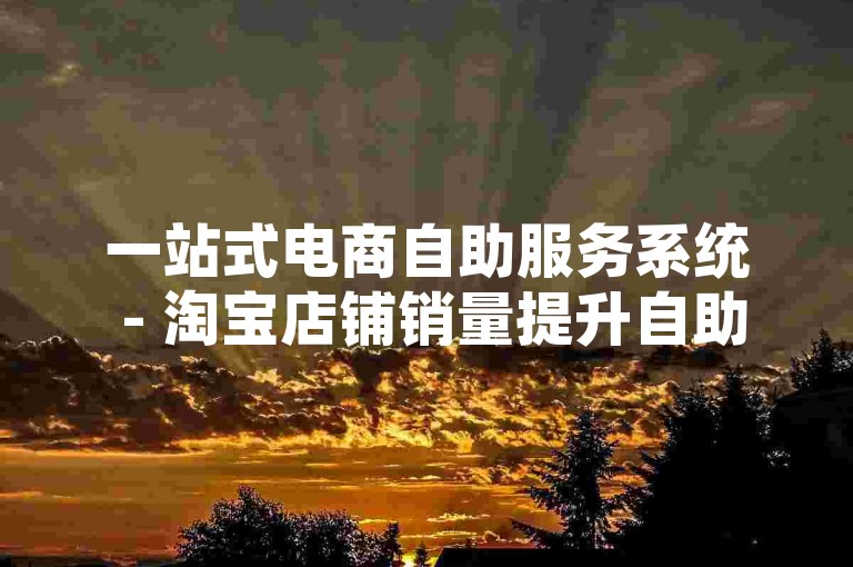 一站式电商自助服务系统 - 淘宝店铺销量提升自助下单平台业务