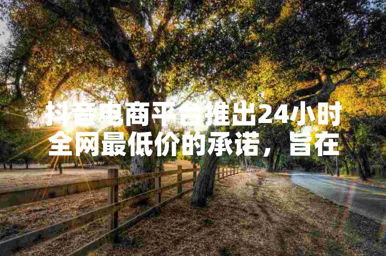抖音电商平台推出24小时全网最低价的承诺，旨在为消费者带来全新的购物体验。