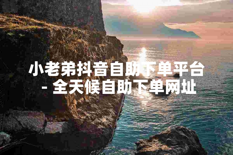 小老弟抖音自助下单平台 - 全天候自助下单网址