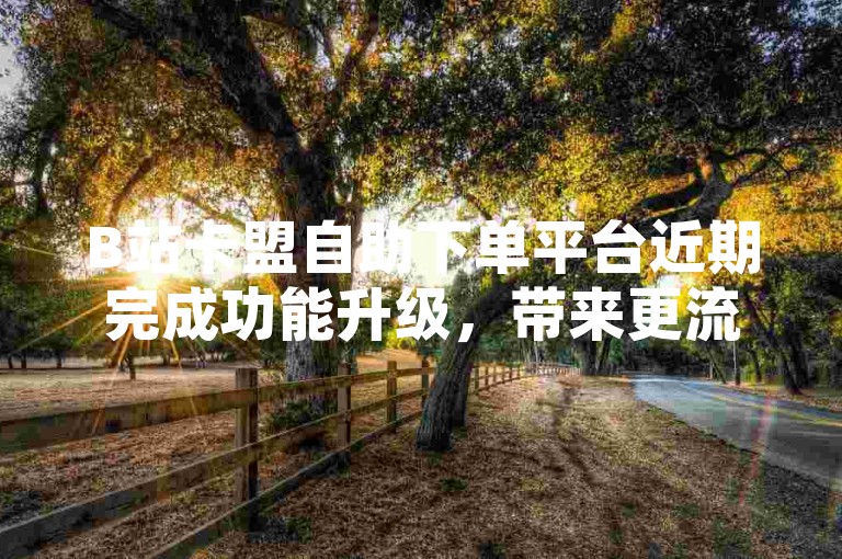 B站卡盟自助下单平台近期完成功能升级，带来更流畅的用户体验！2024年必备技能。