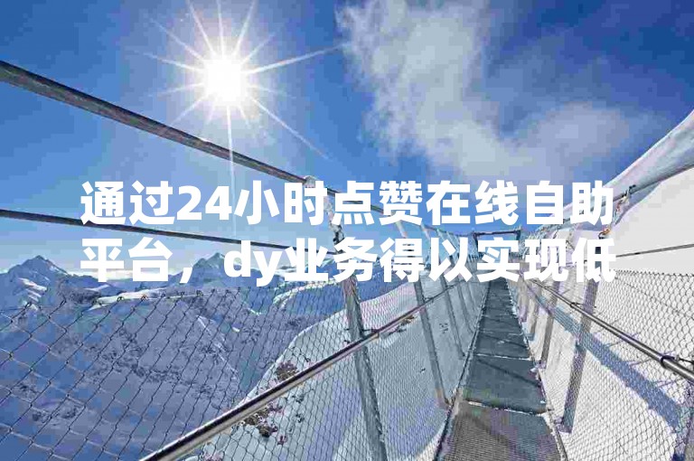 通过24小时点赞在线自助平台，dy业务得以实现低成本运营。
