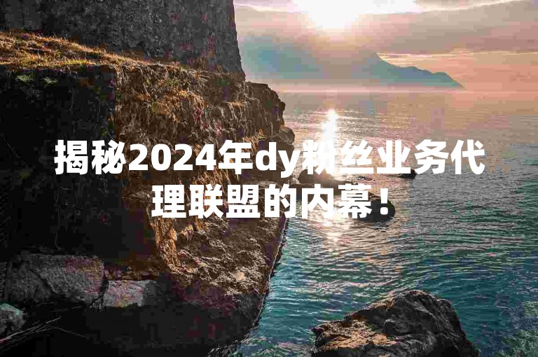 揭秘2024年dy粉丝业务代理联盟的内幕！