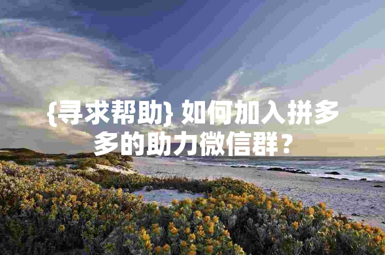 {寻求帮助} 如何加入拼多多的助力微信群？