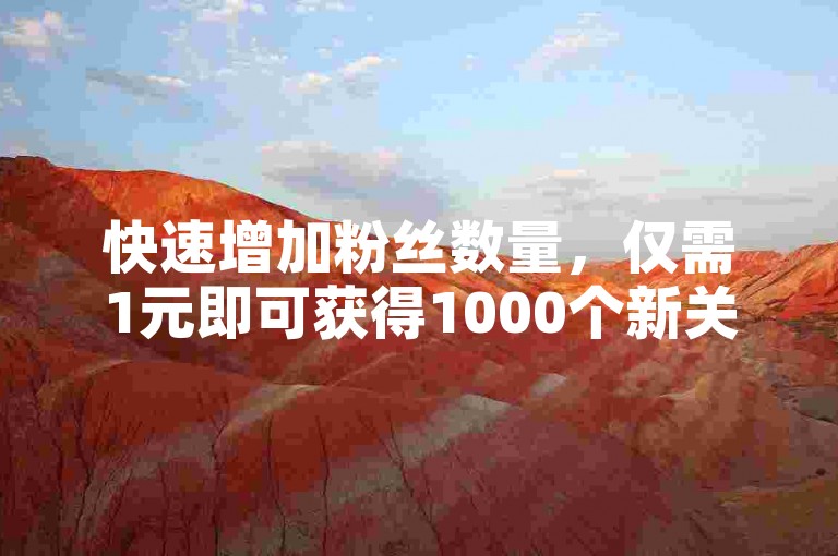 快速增加粉丝数量，仅需1元即可获得1000个新关注者。