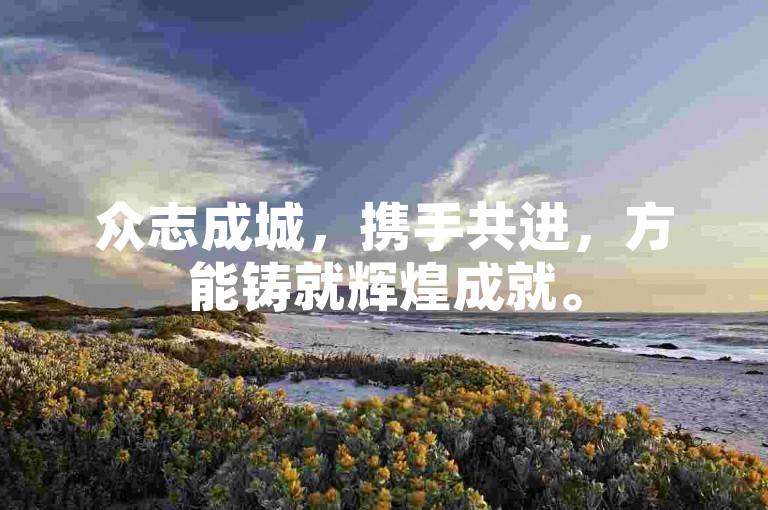 众志成城，携手共进，方能铸就辉煌成就。
