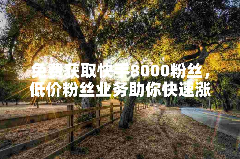免费获取快手8000粉丝，低价粉丝业务助你快速涨粉。