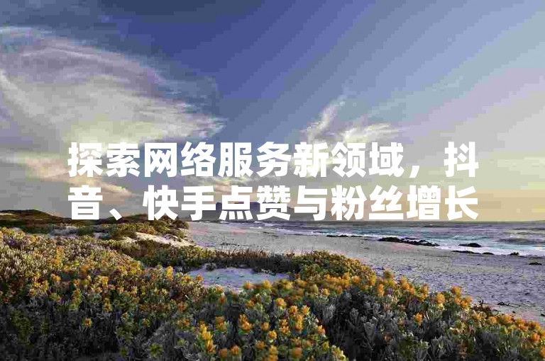探索网络服务新领域，抖音、快手点赞与粉丝增长，拼多多业务支持，全天候低价自助下单。