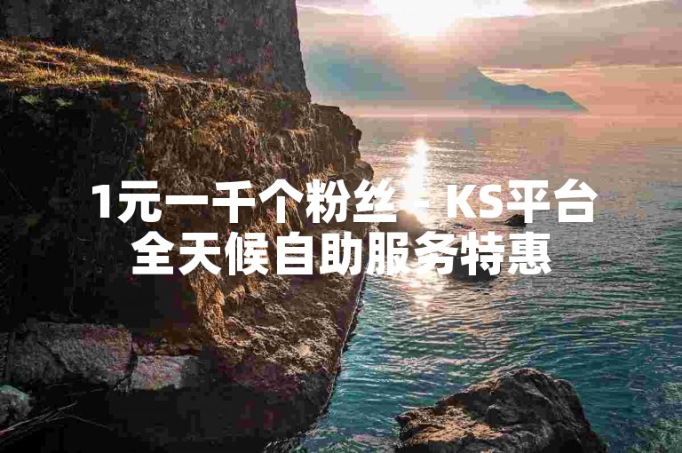 1元一千个粉丝 - KS平台全天候自助服务特惠