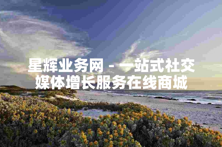 星辉业务网 - 一站式社交媒体增长服务在线商城