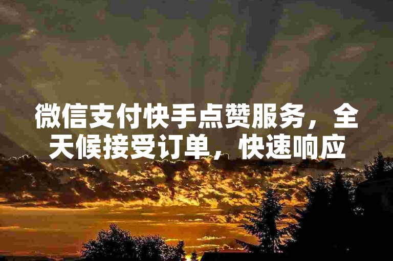 微信支付快手点赞服务，全天候接受订单，快速响应您的点赞需求！
