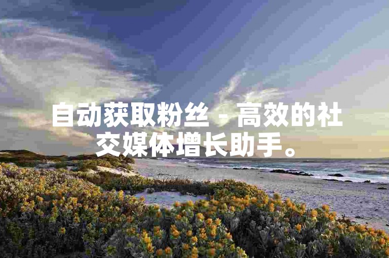 自动获取粉丝 - 高效的社交媒体增长助手。