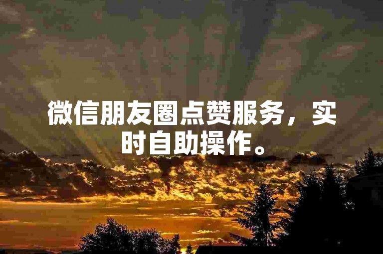 微信朋友圈点赞服务，实时自助操作。