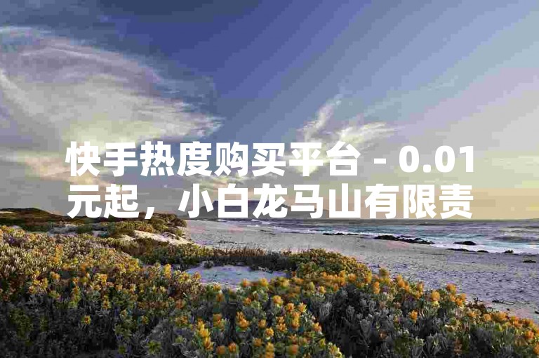 快手热度购买平台 - 0.01元起，小白龙马山有限责任公司（快手推广服务，价格亲民）