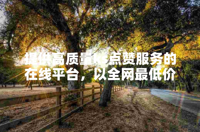 提供高质量ks点赞服务的在线平台，以全网最低价格助您快速提升作品热度。