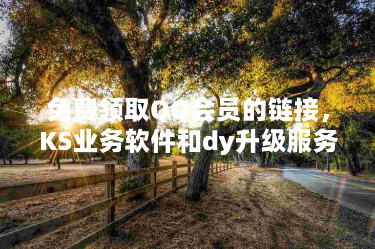 免费领取QQ会员的链接，KS业务软件和dy升级服务下单网站 - 快手24小时在线业务平台。