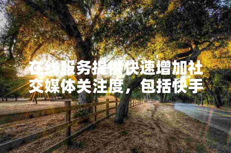 在线服务提供快速增加社交媒体关注度，包括快手平台的粉丝和访问量提升。