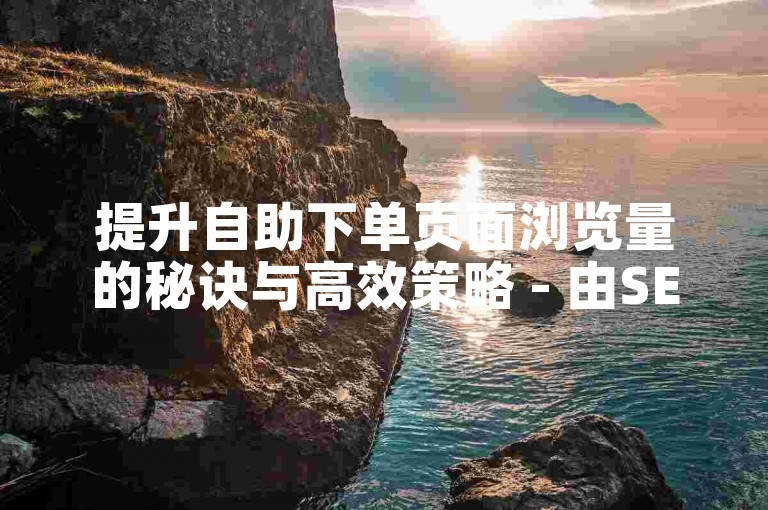 提升自助下单页面浏览量的秘诀与高效策略 - 由SEO优化师深度剖析