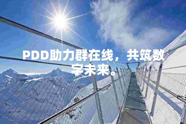 PDD助力群在线，共筑数字未来。