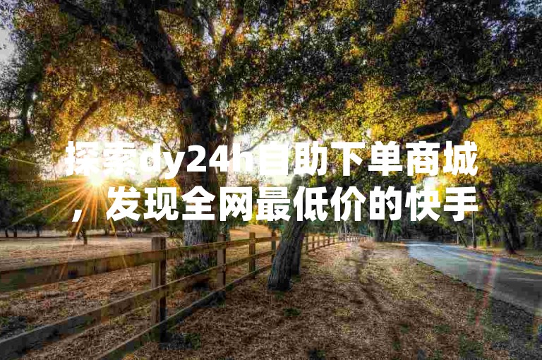 探索dy24h自助下单商城，发现全网最低价的快手业务服务，享受24小时不间断的粉丝增长和独家平台优惠。