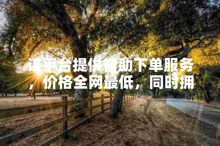 该平台提供自助下单服务，价格全网最低，同时拥有丰富的刷会员卡盟货源。