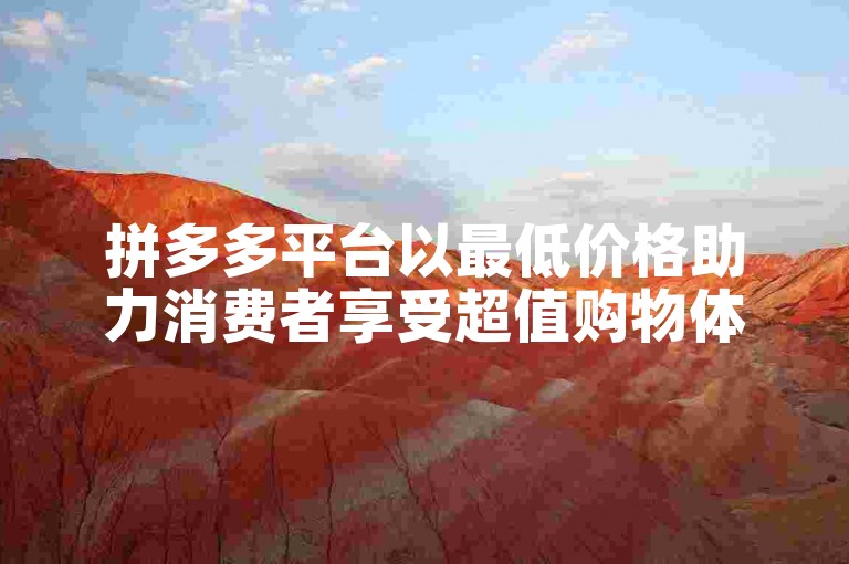 拼多多平台以最低价格助力消费者享受超值购物体验。