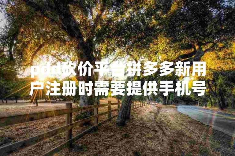 pdd砍价平台拼多多新用户注册时需要提供手机号码进行验证吗？