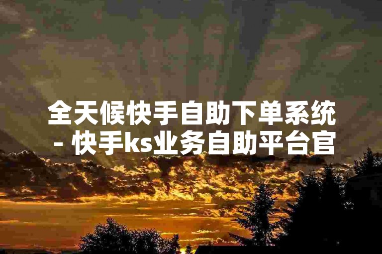 全天候快手自助下单系统 - 快手ks业务自助平台官网