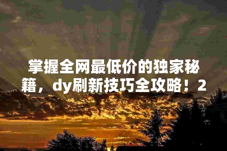 掌握全网最低价的独家秘籍，dy刷新技巧全攻略！2025必备技能。