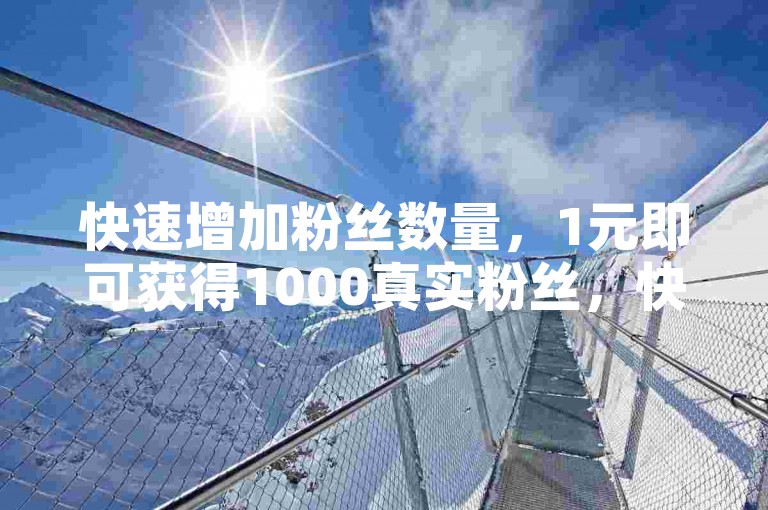 快速增加粉丝数量，1元即可获得1000真实粉丝，快手用户专属，一分钟轻松拥有3000粉丝的网站平台。