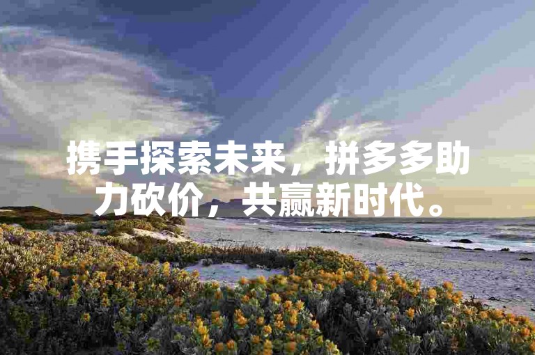 携手探索未来，拼多多助力砍价，共赢新时代。