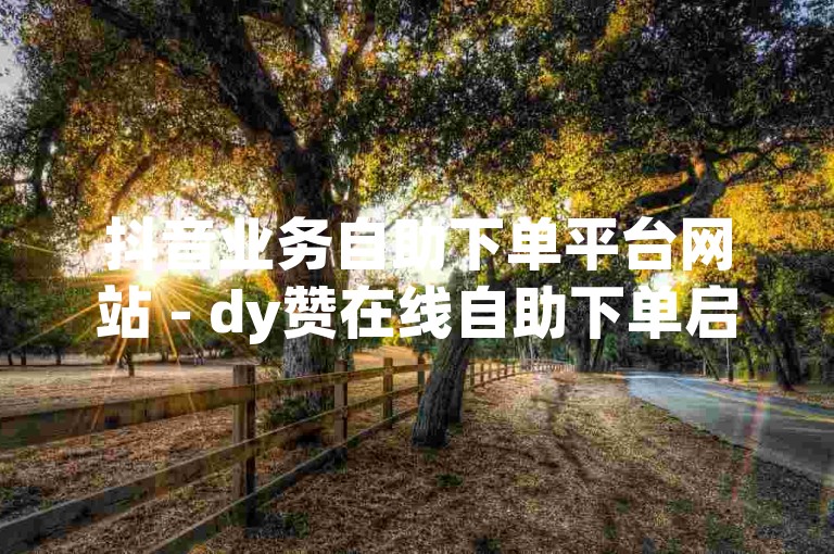 抖音业务自助下单平台网站 - dy赞在线自助下单启航