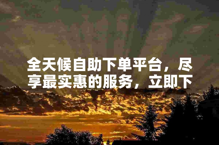 全天候自助下单平台，尽享最实惠的服务，立即下单体验吧！