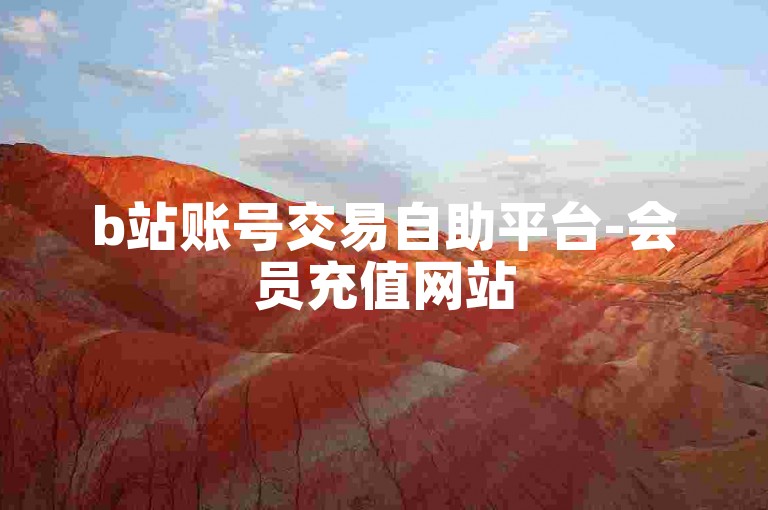 b站账号交易自助平台-会员充值网站
